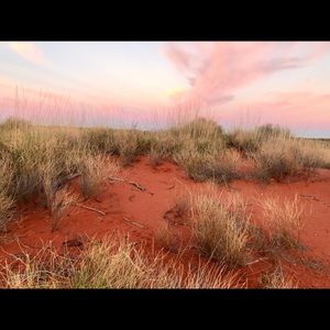 Meet your Posher, Sue